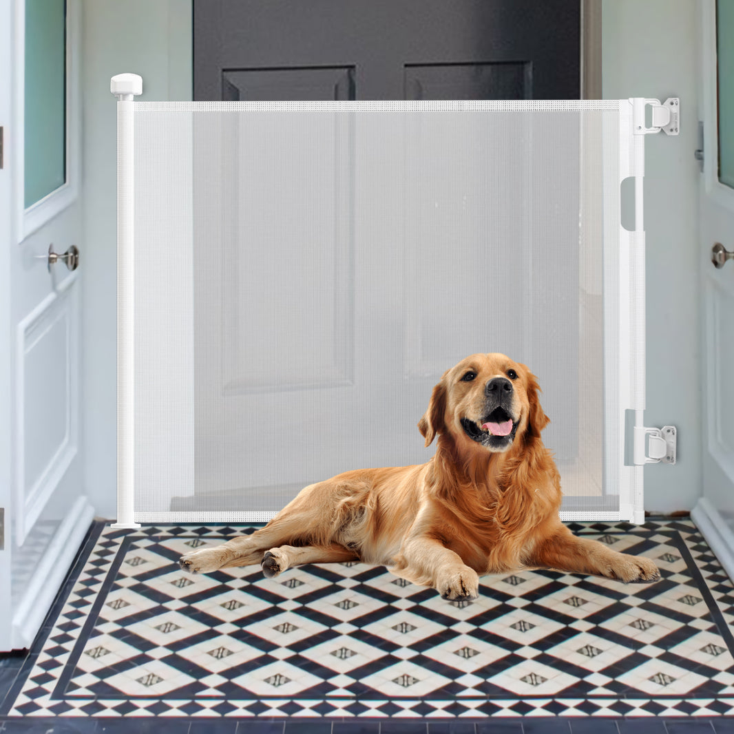Retractable Pet Gate
