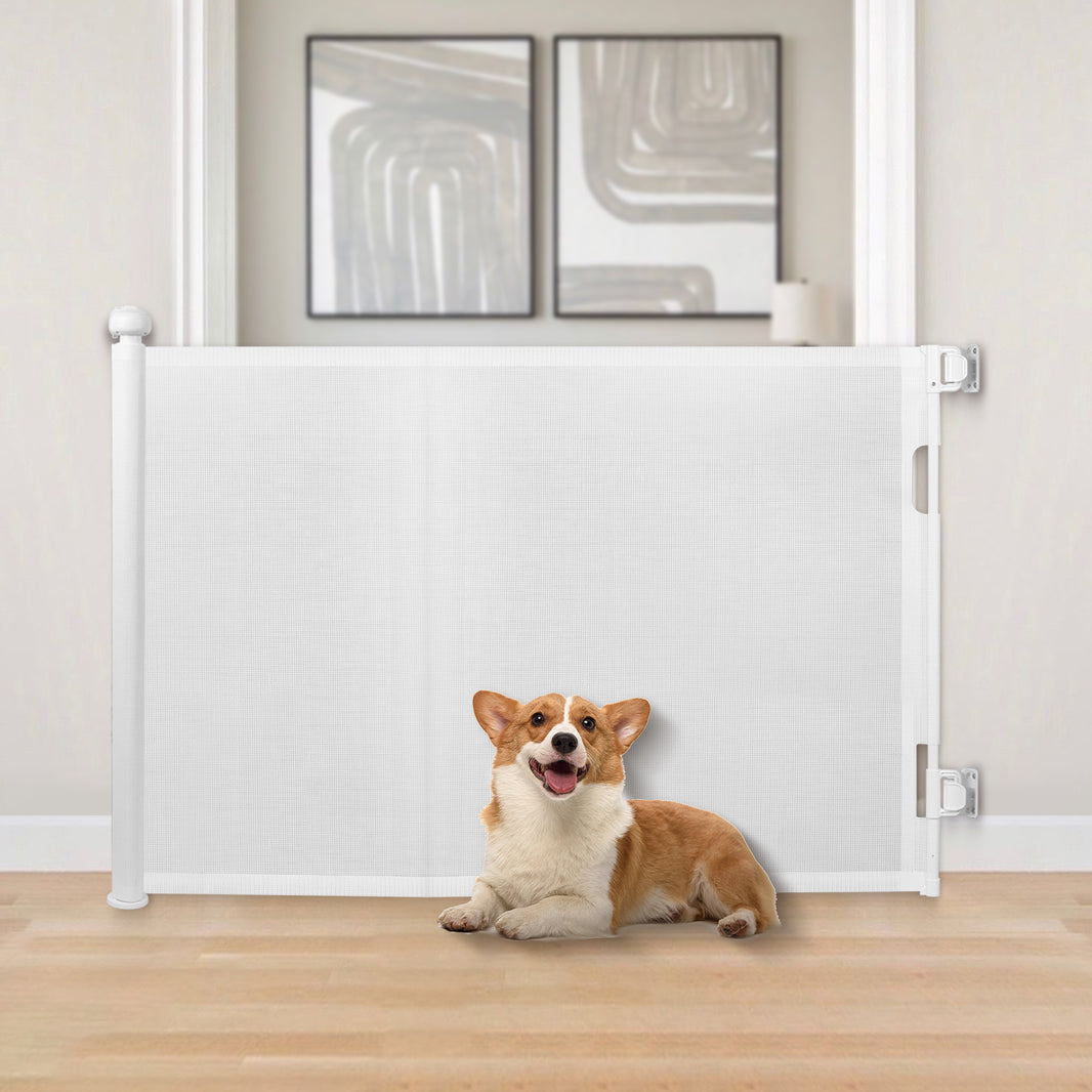 Retractable Pet Gate